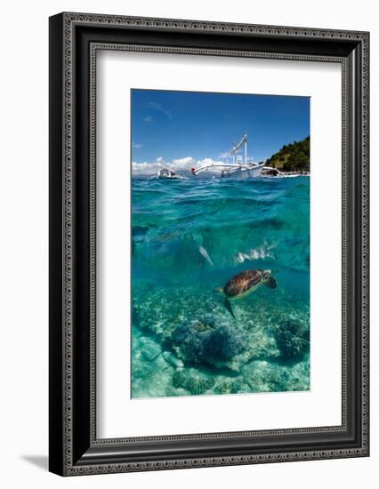 Dive to Philippines-Andrey Narchuk-Framed Photographic Print