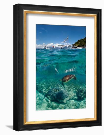 Dive to Philippines-Andrey Narchuk-Framed Photographic Print