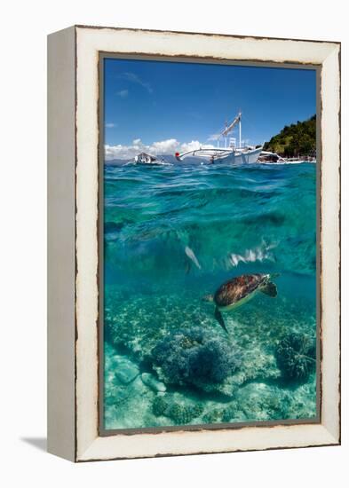 Dive to Philippines-Andrey Narchuk-Framed Premier Image Canvas