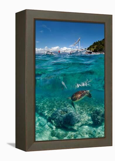 Dive to Philippines-Andrey Narchuk-Framed Premier Image Canvas
