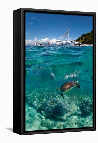 Dive to Philippines-Andrey Narchuk-Framed Premier Image Canvas