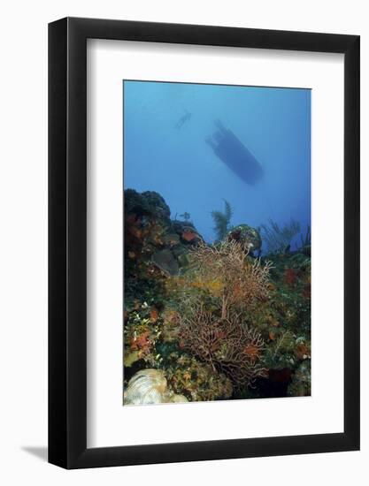 Diver and Boat Above Black Coral Bushes in French Cay, Turks and Caicos-Stocktrek Images-Framed Photographic Print