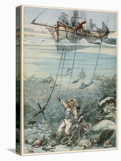 Stretched Canvas Print, , large