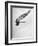 Diver Ann Ross Performing Dive-Gordon Coster-Framed Photographic Print