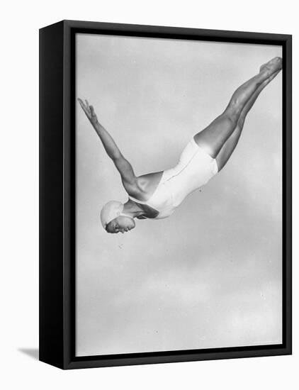 Diver Ann Ross Performing Swan Dive-Gordon Coster-Framed Premier Image Canvas