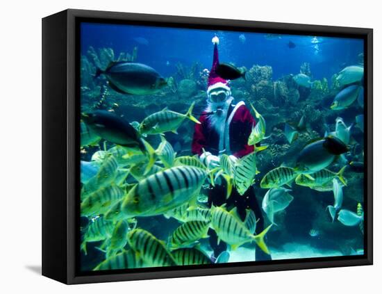 Diver Dressed as Santa Claus Feeds Fish as Part of Christmas Celebrations, Aquarium in Kuala Lumpur-null-Framed Premier Image Canvas