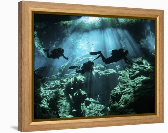 Diver Enters the Cavern System in the Riviera Maya Area of Mexico-null-Framed Premier Image Canvas