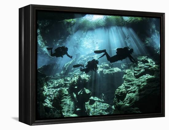 Diver Enters the Cavern System in the Riviera Maya Area of Mexico-null-Framed Premier Image Canvas