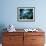 Diver Enters the Cavern System in the Riviera Maya Area of Mexico-null-Framed Photographic Print displayed on a wall