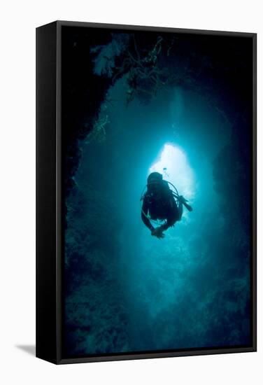 Diver Exploring a Blue Hole-Matthew Oldfield-Framed Premier Image Canvas