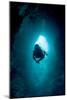 Diver Exploring a Blue Hole-Matthew Oldfield-Mounted Photographic Print