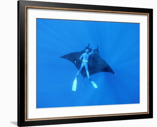 Diver Holds on to Giant Manta Ray, Mexico-Jeffrey Rotman-Framed Photographic Print