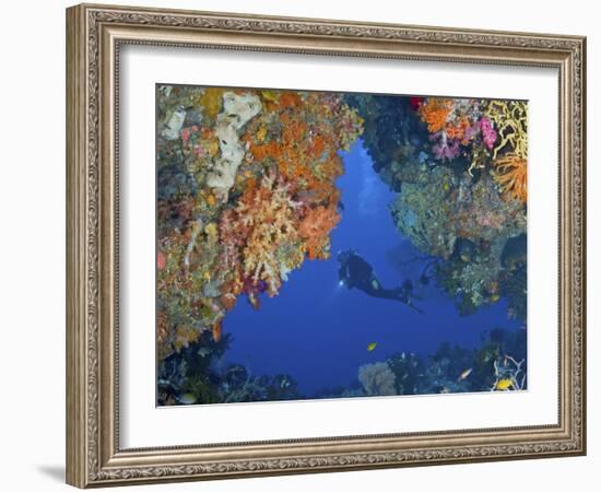 Diver Inspects Reef, Raja Ampat, Papua, Indonesia-Jones-Shimlock-Framed Photographic Print