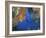 Diver Inspects Reef, Raja Ampat, Papua, Indonesia-Jones-Shimlock-Framed Photographic Print