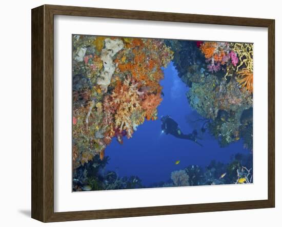 Diver Inspects Reef, Raja Ampat, Papua, Indonesia-Jones-Shimlock-Framed Photographic Print