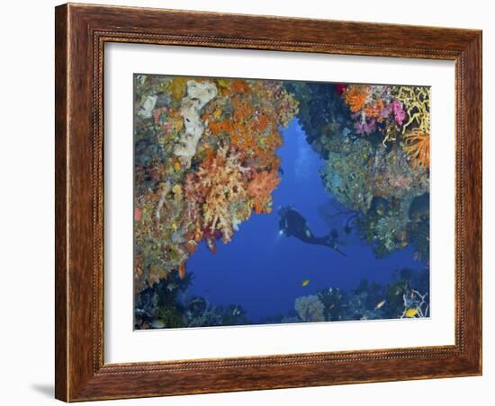 Diver Inspects Reef, Raja Ampat, Papua, Indonesia-Jones-Shimlock-Framed Photographic Print