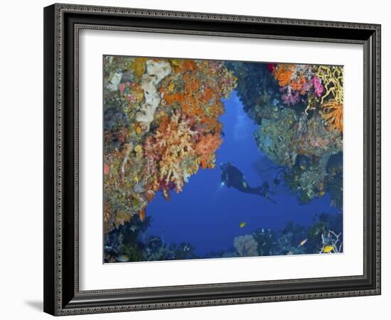 Diver Inspects Reef, Raja Ampat, Papua, Indonesia-Jones-Shimlock-Framed Photographic Print