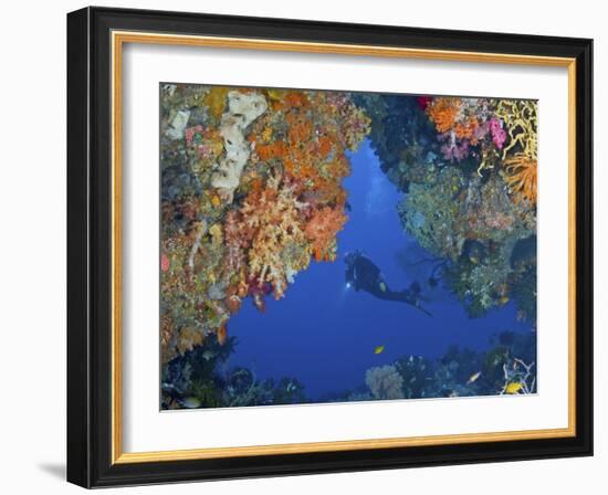 Diver Inspects Reef, Raja Ampat, Papua, Indonesia-Jones-Shimlock-Framed Photographic Print