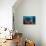 Diver Looks on at a Raja Ampat Reefscape Covered in Crinoids, Indonesia-null-Photographic Print displayed on a wall