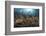 Diver Looks on at Sponges, Soft Corals and Crinoids in a Colorful Komodo Seascape-Stocktrek Images-Framed Photographic Print