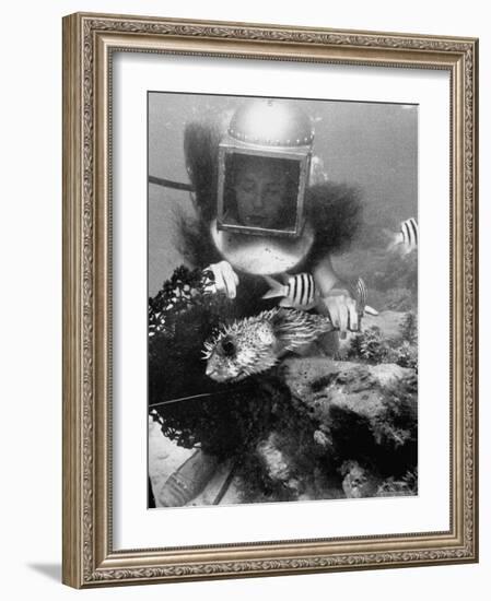 Diver Meddling Around with a Blowfish in Hartley's Underwater Movie in Bermuda-Peter Stackpole-Framed Photographic Print