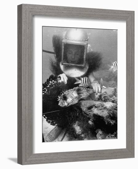 Diver Meddling Around with a Blowfish in Hartley's Underwater Movie in Bermuda-Peter Stackpole-Framed Photographic Print