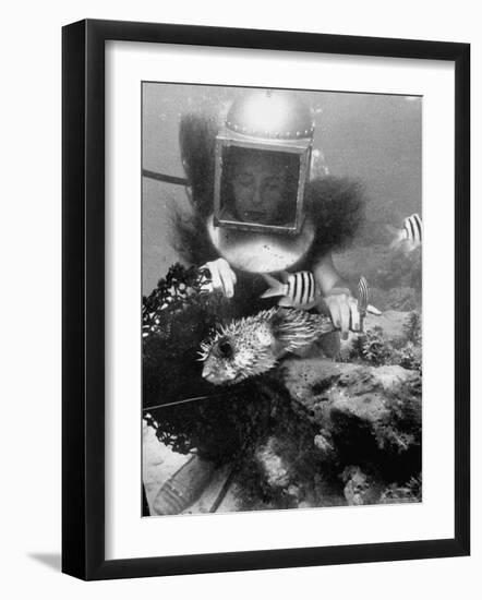 Diver Meddling Around with a Blowfish in Hartley's Underwater Movie in Bermuda-Peter Stackpole-Framed Photographic Print