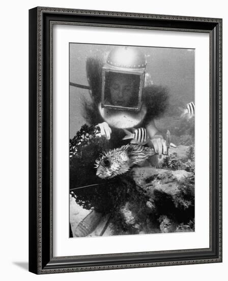 Diver Meddling Around with a Blowfish in Hartley's Underwater Movie in Bermuda-Peter Stackpole-Framed Photographic Print