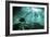 Diver Passes Through Light Beams in Chac Mool Cenote in Mexico-null-Framed Photographic Print