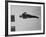 Diver Pat McCormick in Mid Dive at 1952 Olympics-Ralph Crane-Framed Premium Photographic Print