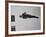 Diver Pat McCormick in Mid Dive at 1952 Olympics-Ralph Crane-Framed Premium Photographic Print