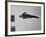 Diver Pat McCormick in Mid Dive at 1952 Olympics-Ralph Crane-Framed Premium Photographic Print