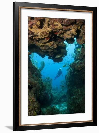 Diver Seen through Opening in Coral Reef.-Stephen Frink-Framed Photographic Print