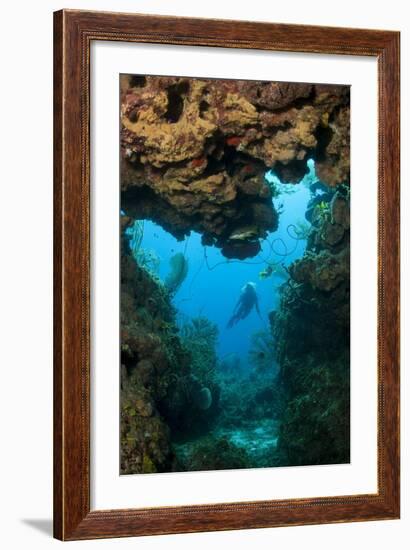 Diver Seen through Opening in Coral Reef.-Stephen Frink-Framed Photographic Print