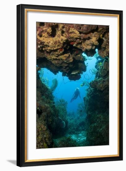 Diver Seen through Opening in Coral Reef.-Stephen Frink-Framed Photographic Print