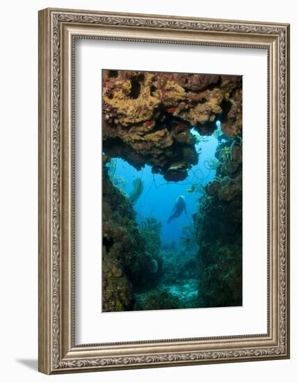 Diver Seen through Opening in Coral Reef.-Stephen Frink-Framed Photographic Print