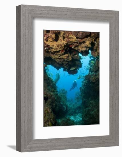 Diver Seen through Opening in Coral Reef.-Stephen Frink-Framed Photographic Print