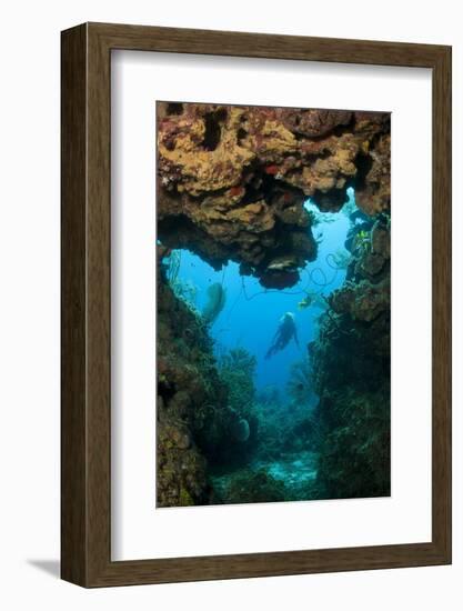 Diver Seen through Opening in Coral Reef.-Stephen Frink-Framed Photographic Print