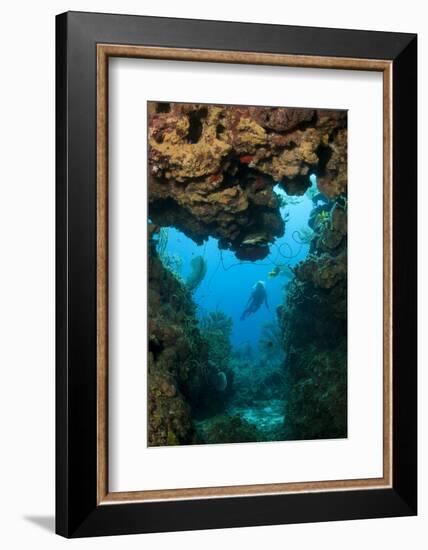 Diver Seen through Opening in Coral Reef.-Stephen Frink-Framed Photographic Print