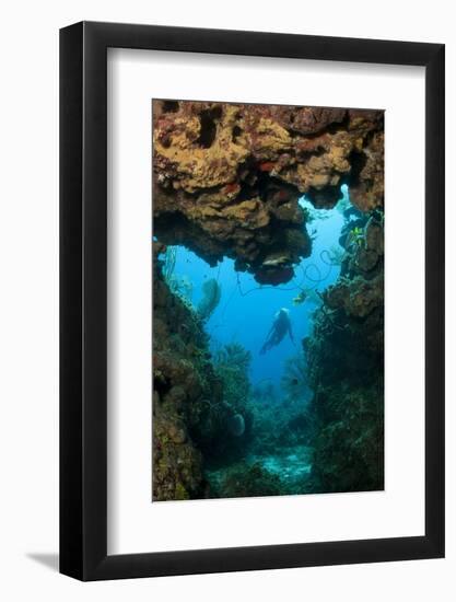 Diver Seen through Opening in Coral Reef.-Stephen Frink-Framed Photographic Print