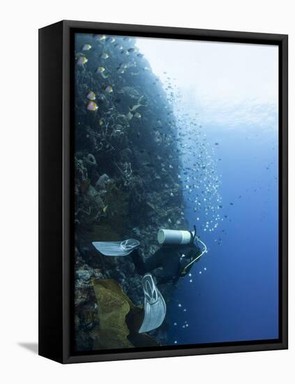 Diver Swimming Along a Wall at Bunaken, Sulawesi, Indonesia, Southeast Asia, Asia-Lisa Collins-Framed Premier Image Canvas