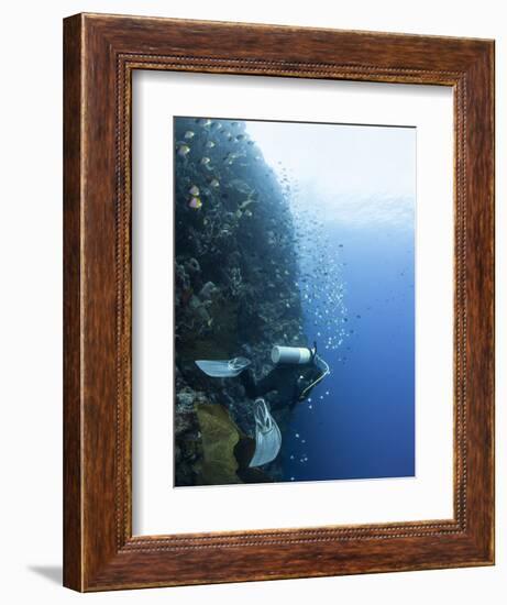 Diver Swimming Along a Wall at Bunaken, Sulawesi, Indonesia, Southeast Asia, Asia-Lisa Collins-Framed Photographic Print