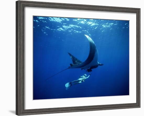 Diver Swims with Giant Manta Ray, Mexico-Jeffrey Rotman-Framed Photographic Print