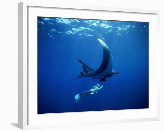 Diver Swims with Giant Manta Ray, Mexico-Jeffrey Rotman-Framed Photographic Print