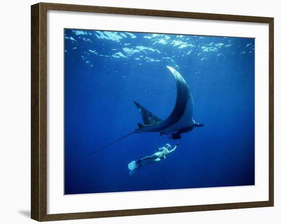 Diver Swims with Giant Manta Ray, Mexico-Jeffrey Rotman-Framed Photographic Print