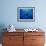 Diver Swims with Giant Manta Ray, Mexico-Jeffrey Rotman-Framed Photographic Print displayed on a wall