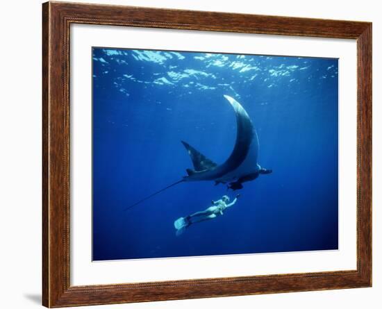 Diver Swims with Giant Manta Ray, Mexico-Jeffrey Rotman-Framed Photographic Print