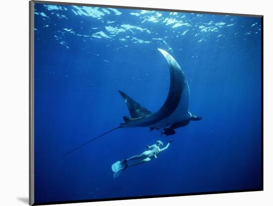 Diver Swims with Giant Manta Ray, Mexico-Jeffrey Rotman-Mounted Photographic Print