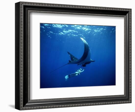 Diver Swims with Giant Manta Ray, Mexico-Jeffrey Rotman-Framed Photographic Print