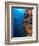 Diver With Light Next To Vertical Reef Formation, Pantar Island, Indonesia-Jones-Shimlock-Framed Photographic Print